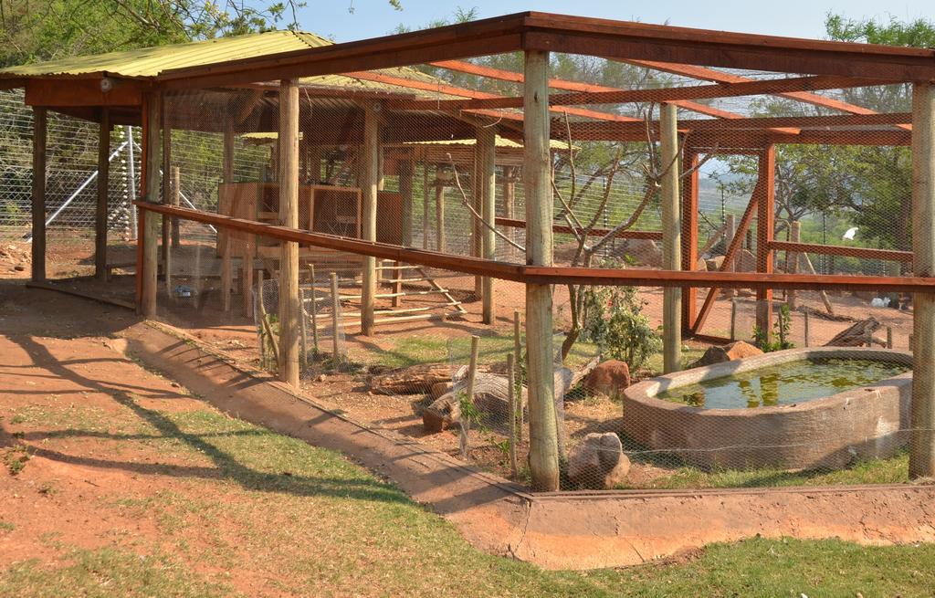 Ebundu Lodge ไวท์ริเวอร์ ภายนอก รูปภาพ